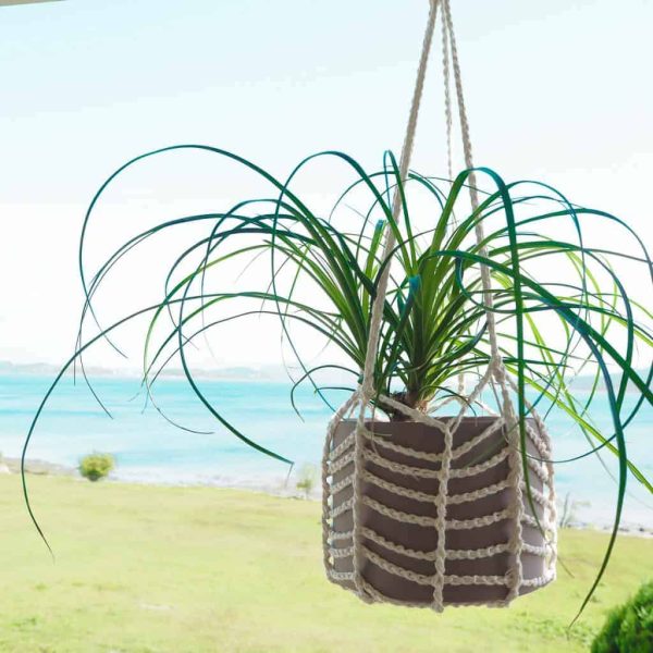 Easy Plant Hanger from Joy of Motion Crochet