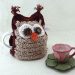 Whoo Wants Tea? Tea cozy pattern by Patons