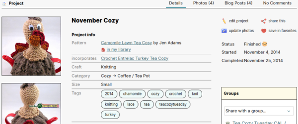 Turkey cozy project