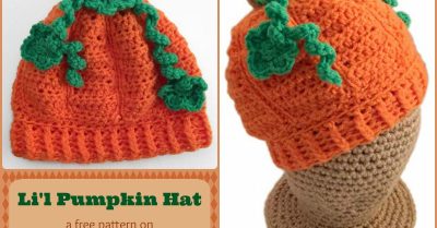 Li'L Pumpkin Hat - a free crochet pattern at StitchesNScraps.com