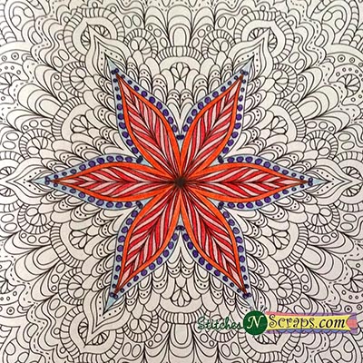 Coloring in my adult coloring book (1)