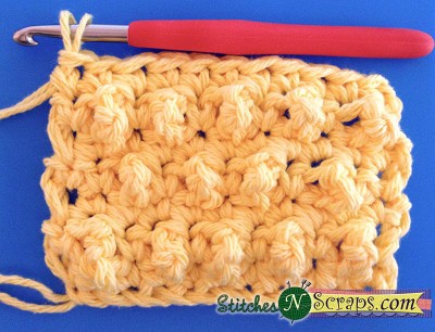 Main section - Little Nubby Scrubbie - a free crochet pattern on StitchesNScraps.com