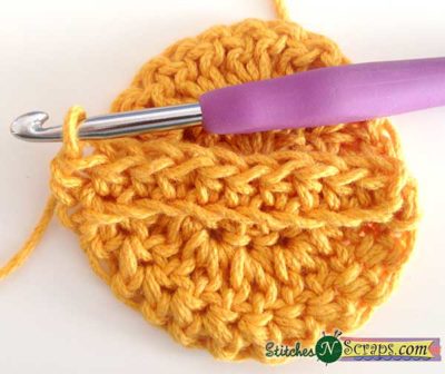 Finish Strap - Caterpillar Scrubby Set - A free crochet pattern on StitchesNScraps.com