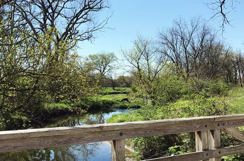 Kline Creek Farm
