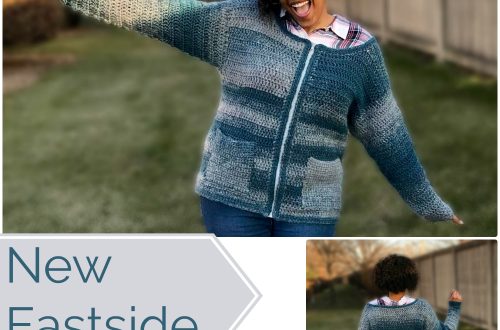 New Eastside - a free crochet pattern on StitchesNScraps.com