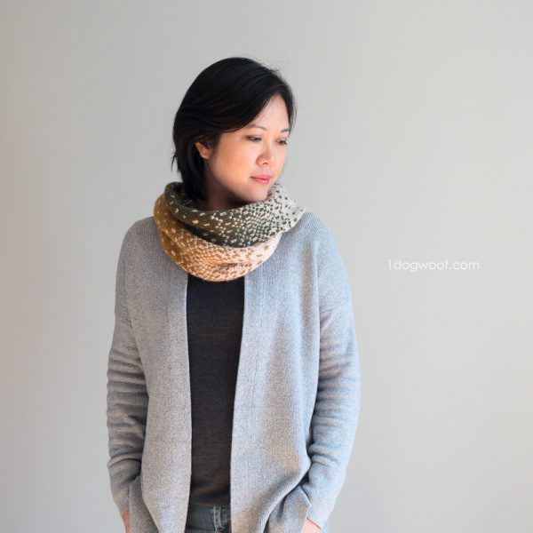 Fading Waves Cowl from One Dog Woof