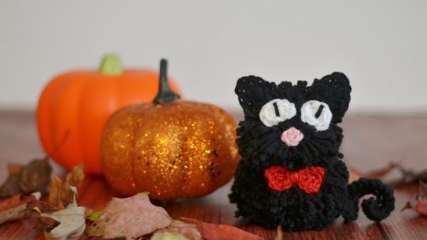Pom Pom cat from With Alex