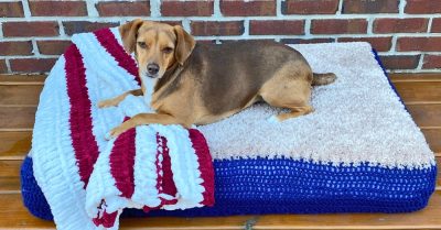 How to Crochet a Foam Dog Bed