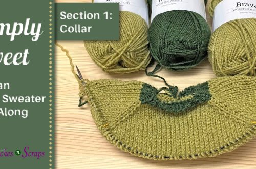 Simply Sweet Raglan Baby Sweater KAL - Section 1 - Collar