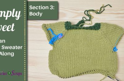 Simply Sweet Raglan Baby Sweater KAL - Section 3 - Body