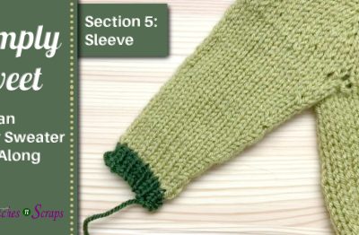 Simply Sweet Raglan Baby Sweater KAL - Section 5 - Sleeves