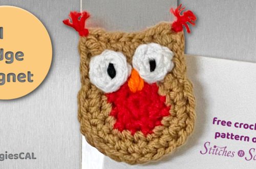 Owl Fridge Magnet - free crochet pattern on Stitches n Scraps