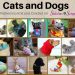 Cats and Dogs - 20 patterns to knit and crochet on Stitches n Scraps