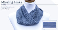 Missing Links Crochet Cowl