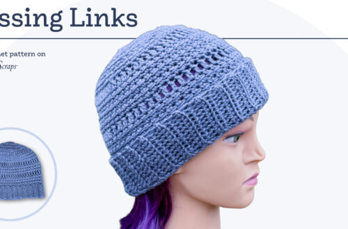 Missing Links Hat